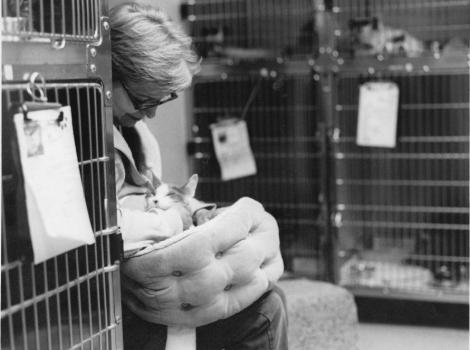 Volunteer Sarita with kitten