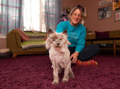 Sylvia the one-eyed cat with her foster person Melissa