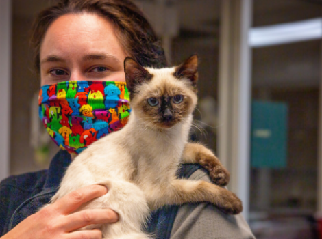 woman in a mask holds a cat