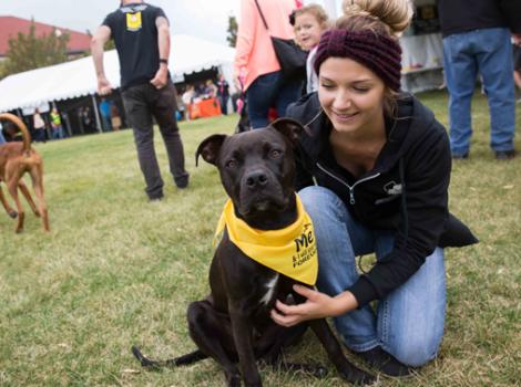 Pet super adoption event in Utah