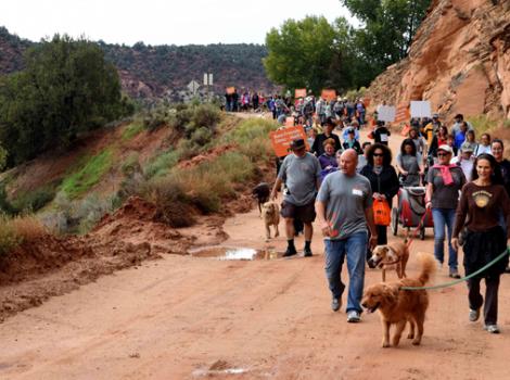 Kanab Strut Your Mutt