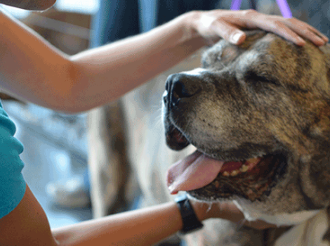 Selenium test image - create