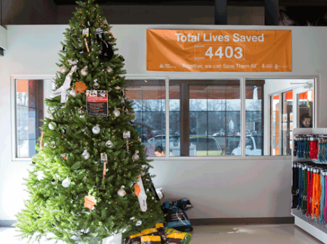 Best Friends Giving Tree