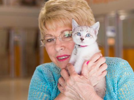 Selenium test image - create