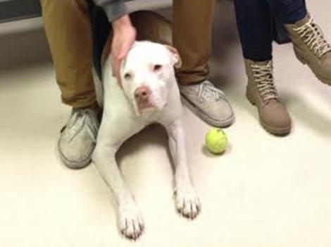 Selenium test image - create