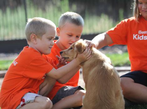 Selenium test image - create