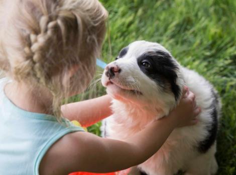 Selenium test image - create