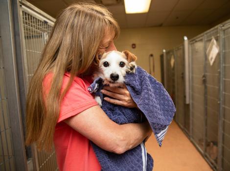 Person hugging a small white and tan dog in a blue blanket in the hallway between dog kennels