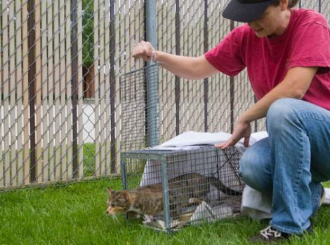 Selenium test image - create