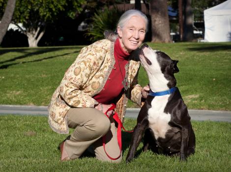 Jane Goodall kneeling down beside a black and white dog