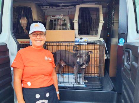 Smiling person wearing Best Friends branded clothes next to a dog in a crate in a transport van