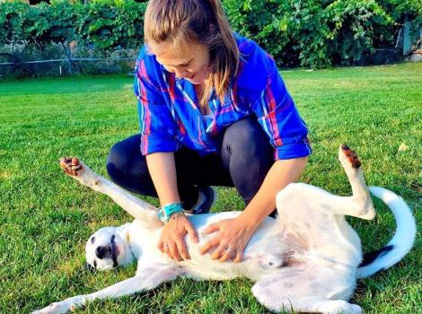Woman giving a dog a belly rub
