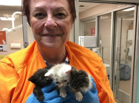 Volunteer Lorraine G.