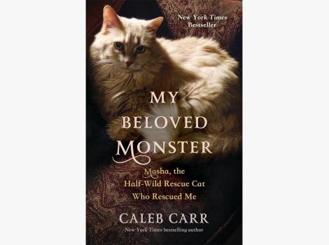 "My Beloved Monster: Masha, the Half-Wild Rescue Cat Who Rescued Me" book cover
