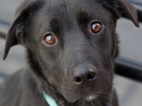 Selenium test image - create