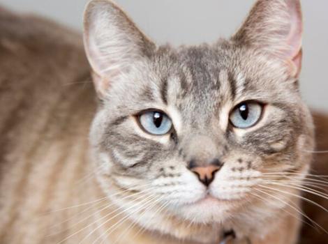 Selenium test image - create