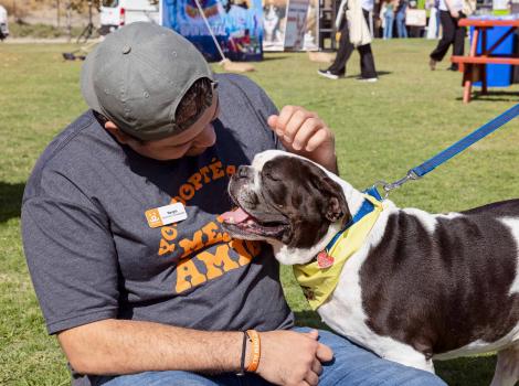 Person sitting on the grass petting a small black and white dog