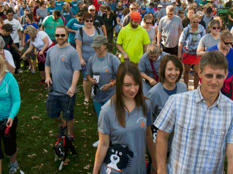 Selenium test image - create