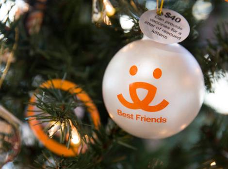 Selenium test image - create