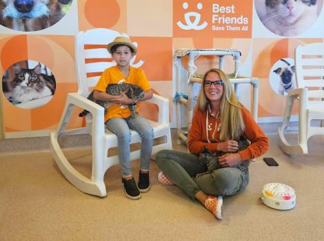 Julian Lin and Julie Castle sitting by one another, each with cats in their laps