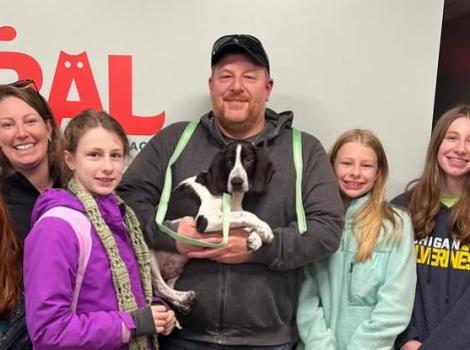 Vixen the black and white puppy being adopted by a family