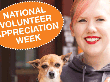 Volunteer Week
