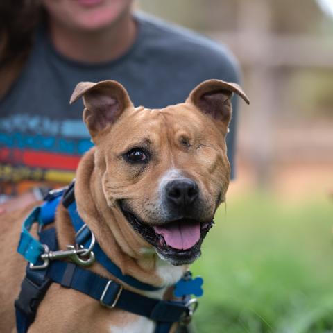 Best Friends Animal Society